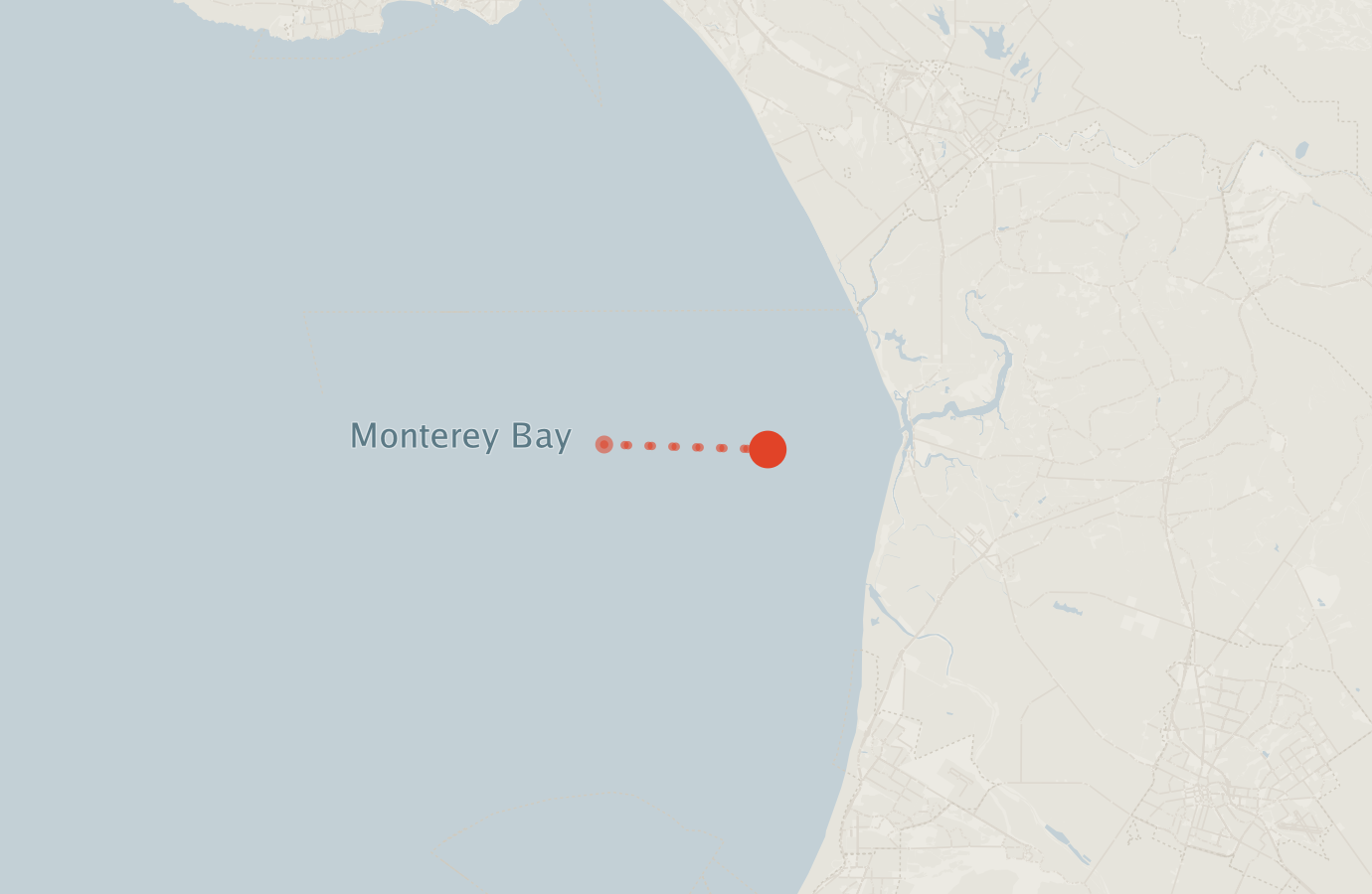 Activity map — real sighting points on an OpenStreetMap basemap