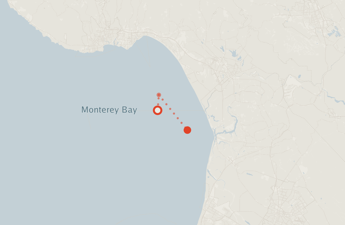 Activity map — real sighting points on an OpenStreetMap basemap