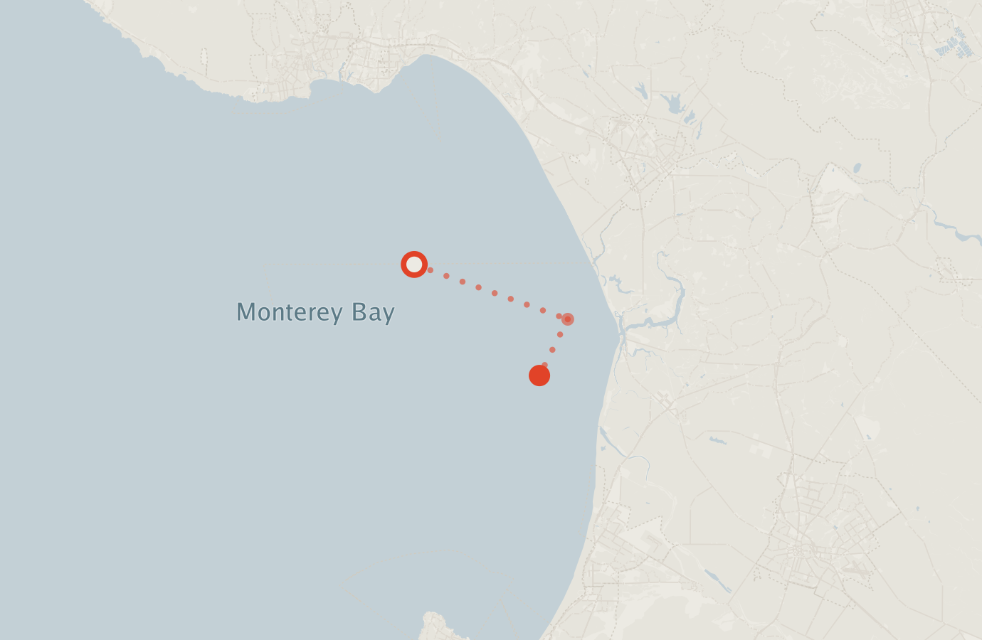 Activity map — real sighting points on an OpenStreetMap basemap