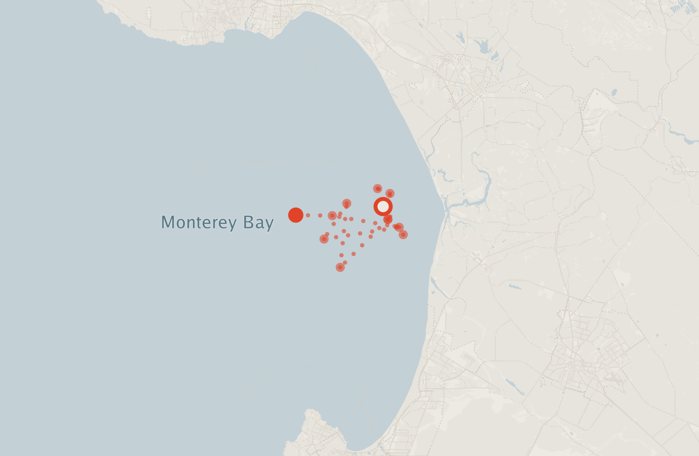 Activity map — real sighting points on an OpenStreetMap basemap