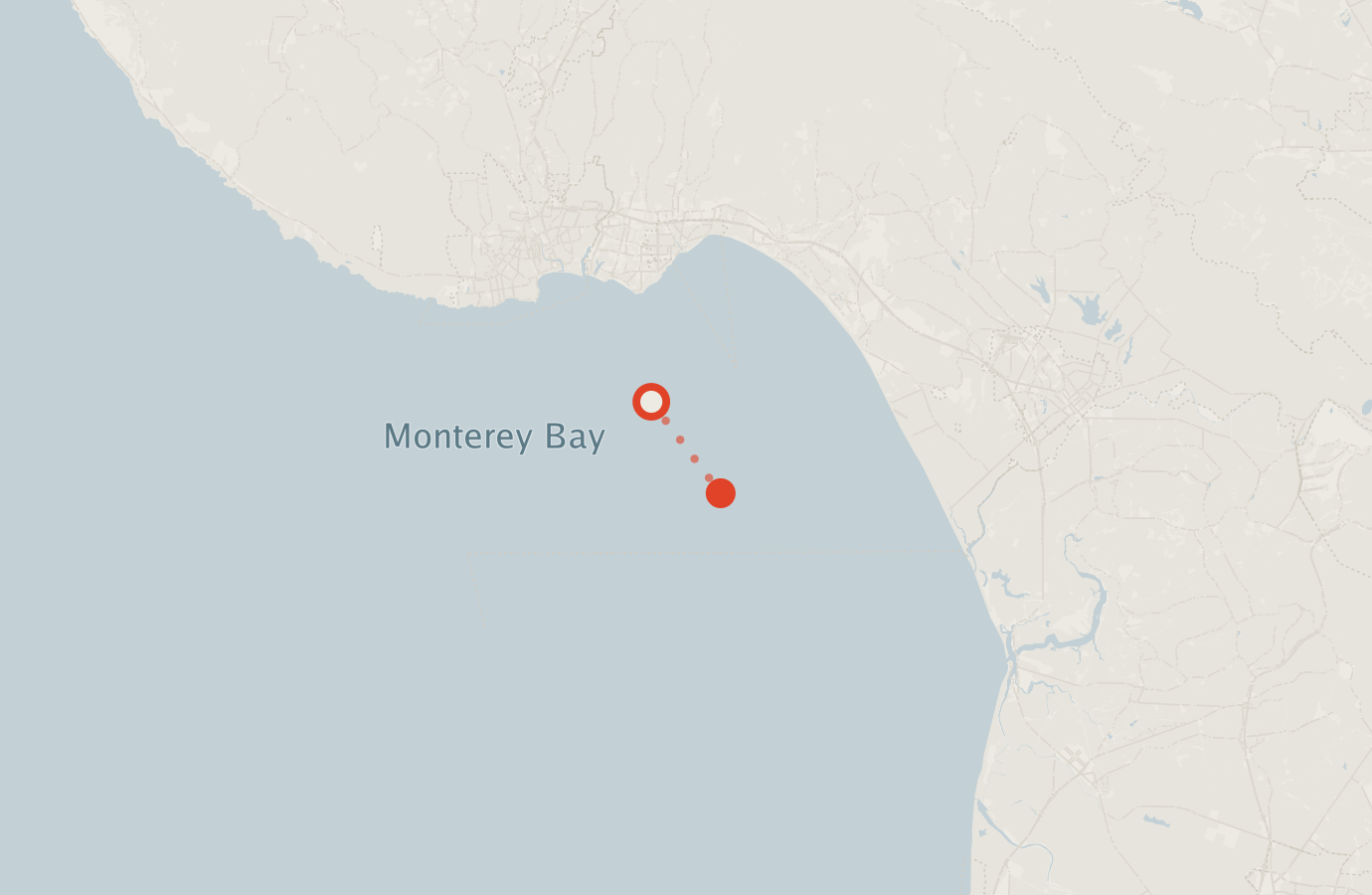 Activity map — real sighting points on an OpenStreetMap basemap