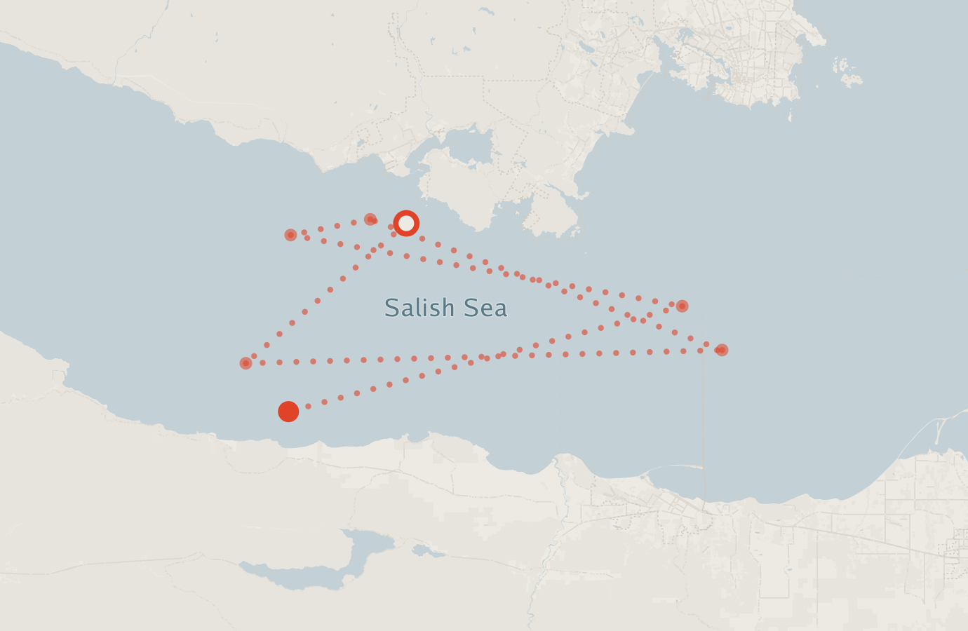 Activity map — real sighting points on an OpenStreetMap basemap
