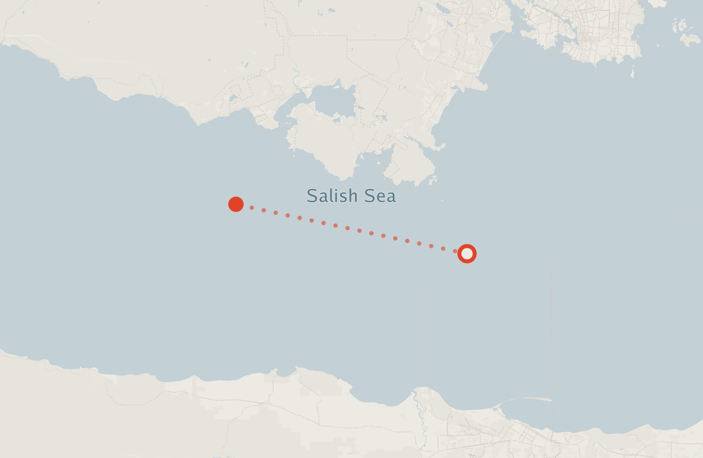 Activity map — real sighting points on an OpenStreetMap basemap