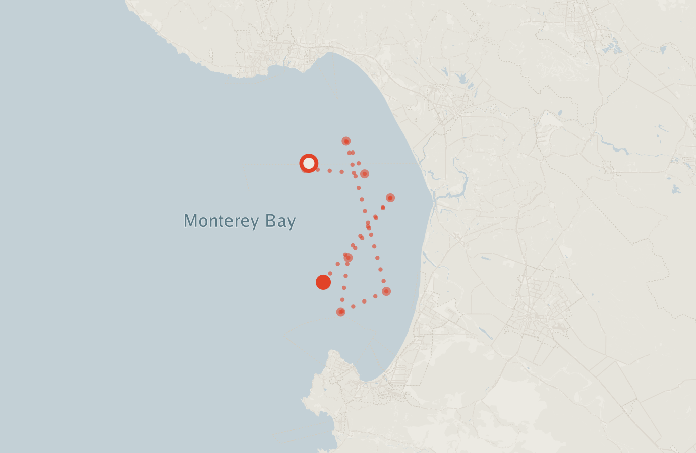 Activity map — real sighting points on an OpenStreetMap basemap
