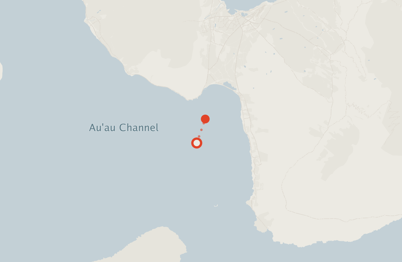 Activity map — real sighting points on an OpenStreetMap basemap