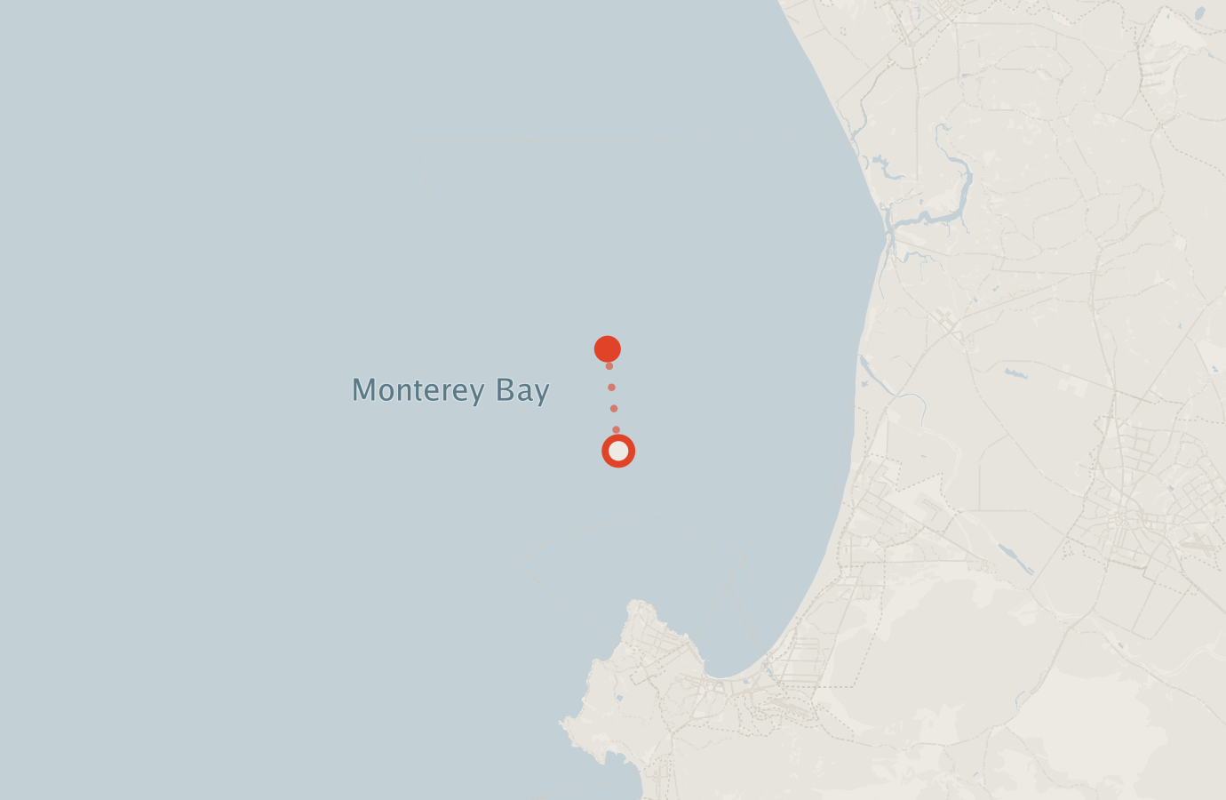 Activity map — real sighting points on an OpenStreetMap basemap