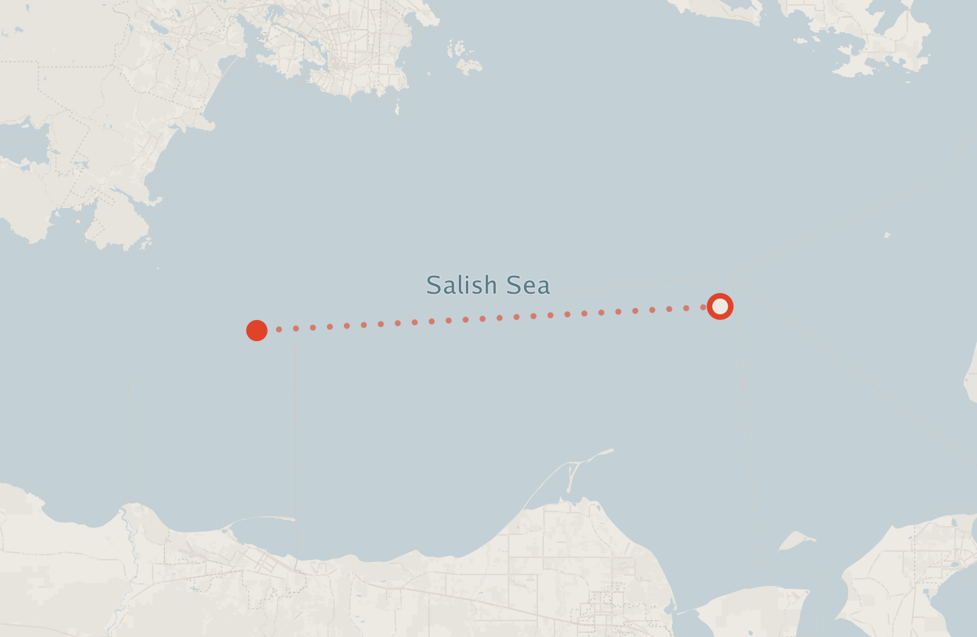 Activity map — real sighting points on an OpenStreetMap basemap