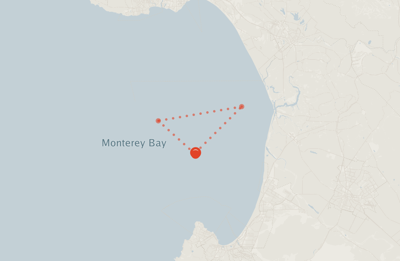 Activity map — real sighting points on an OpenStreetMap basemap