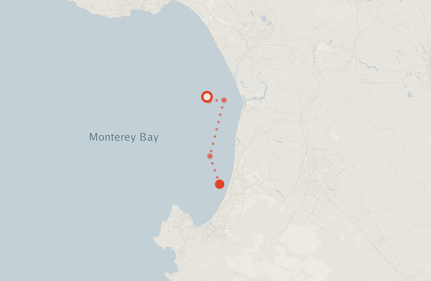 Activity map — real sighting points on an OpenStreetMap basemap