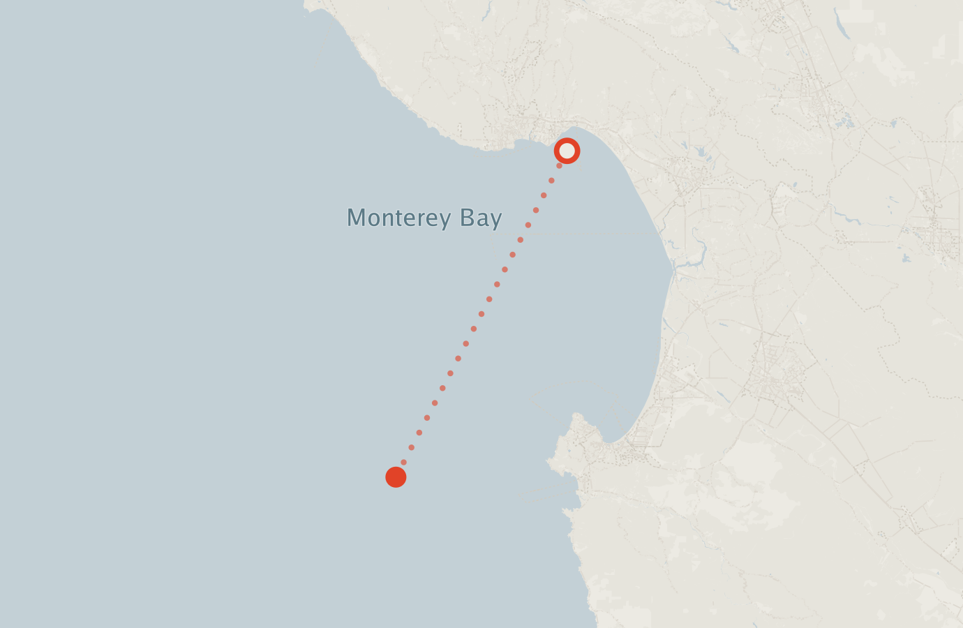 Activity map — real sighting points on an OpenStreetMap basemap