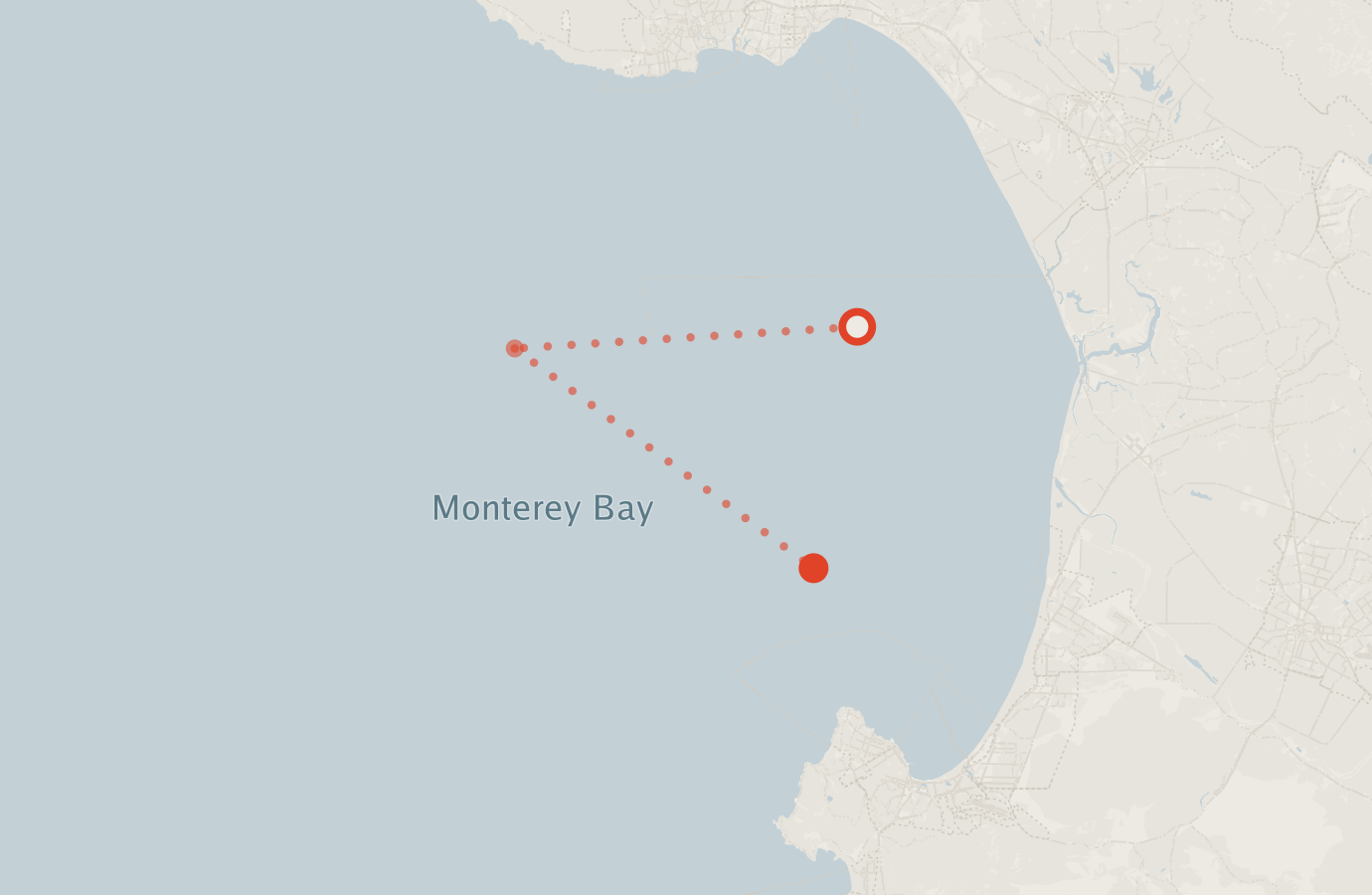 Activity map — real sighting points on an OpenStreetMap basemap