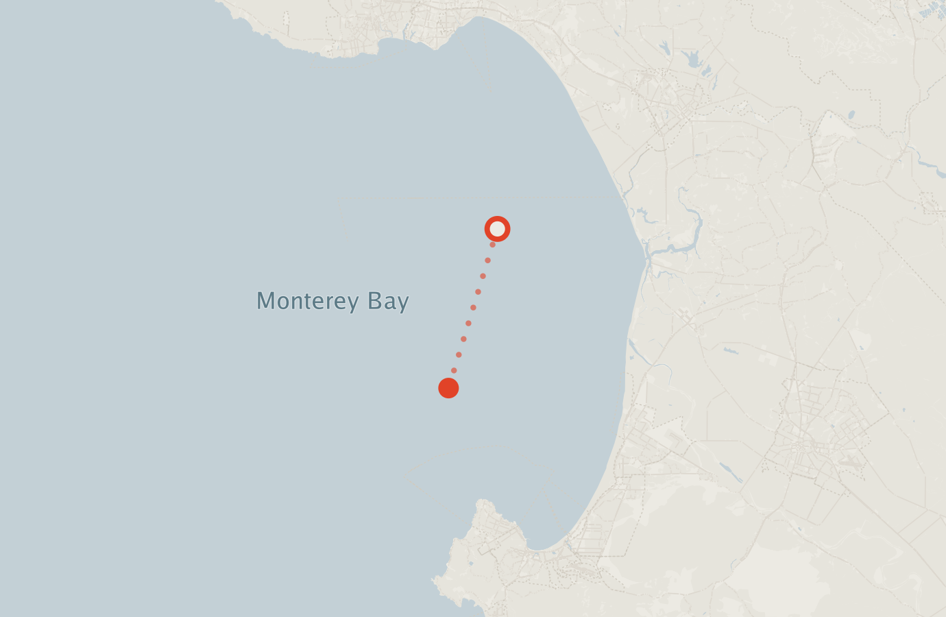 Activity map — real sighting points on an OpenStreetMap basemap