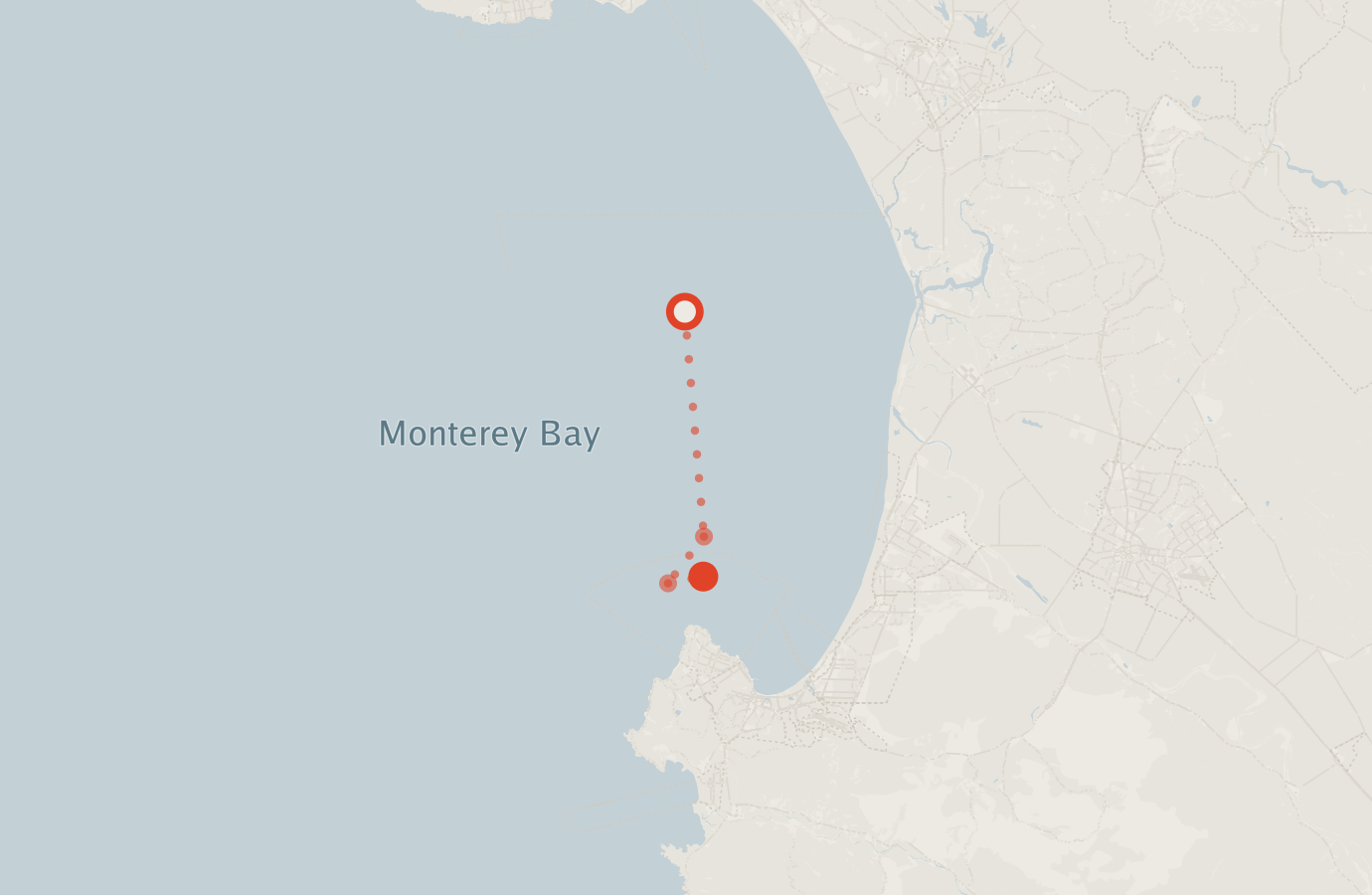 Activity map — real sighting points on an OpenStreetMap basemap
