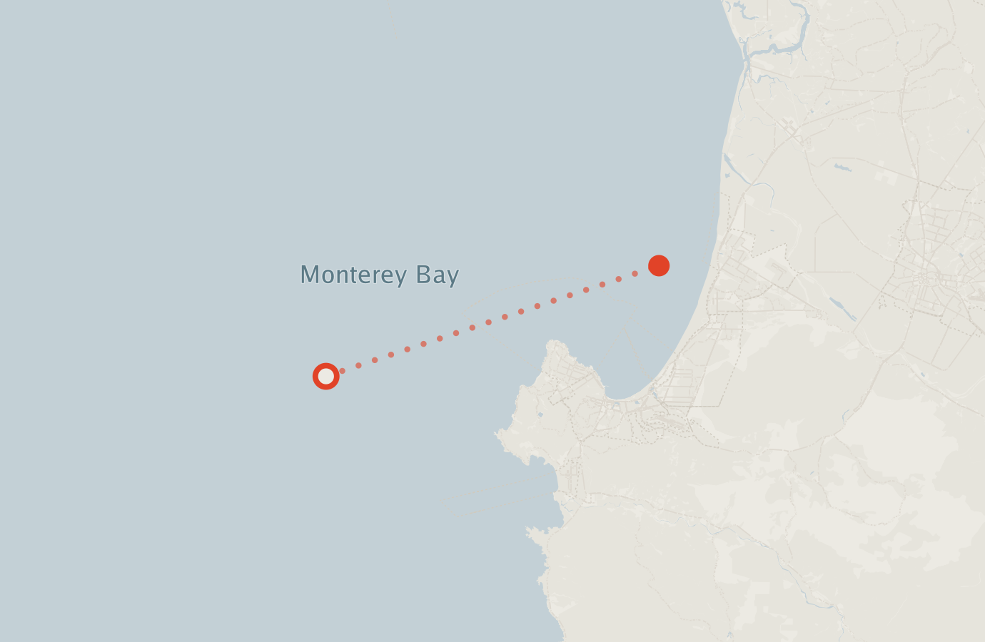 Activity map — real sighting points on an OpenStreetMap basemap