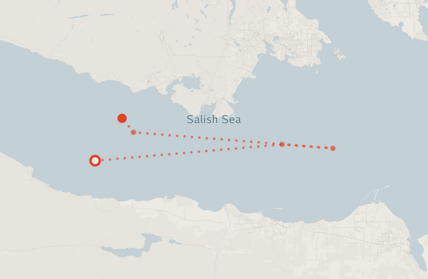 Activity map — real sighting points on an OpenStreetMap basemap