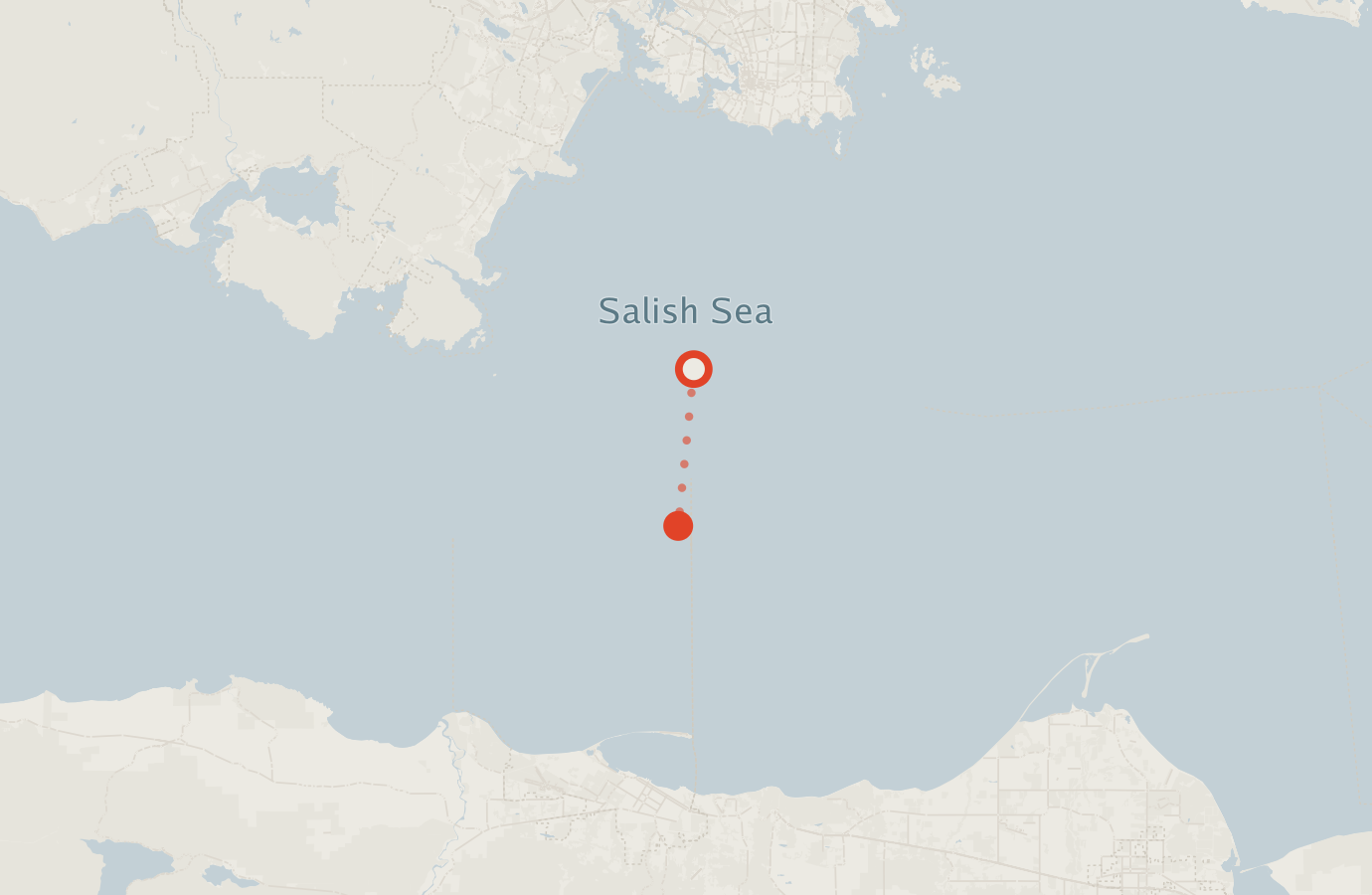 Activity map — real sighting points on an OpenStreetMap basemap