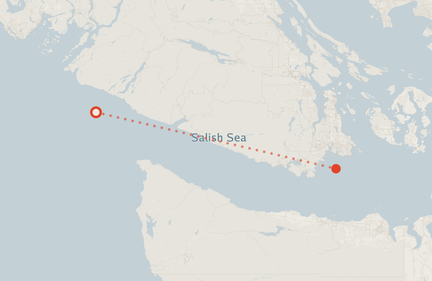 Activity map — real sighting points on an OpenStreetMap basemap