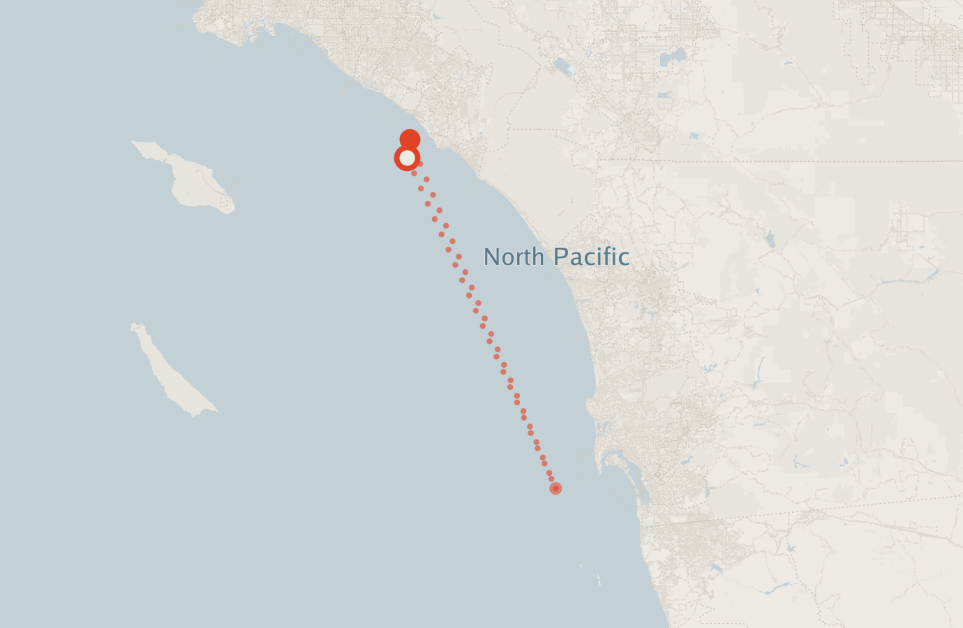 Activity map — real sighting points on an OpenStreetMap basemap