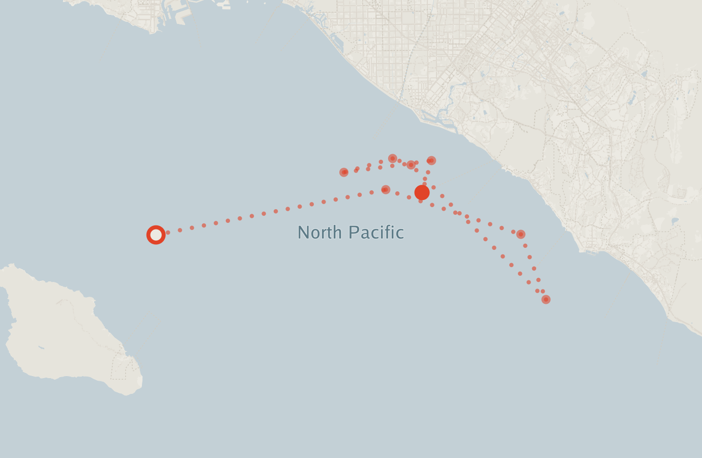 Activity map — real sighting points on an OpenStreetMap basemap