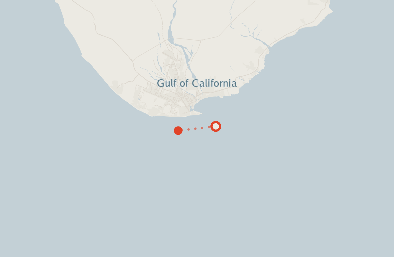 Activity map — real sighting points on an OpenStreetMap basemap