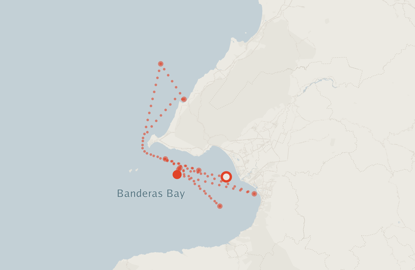 Activity map — real sighting points on an OpenStreetMap basemap