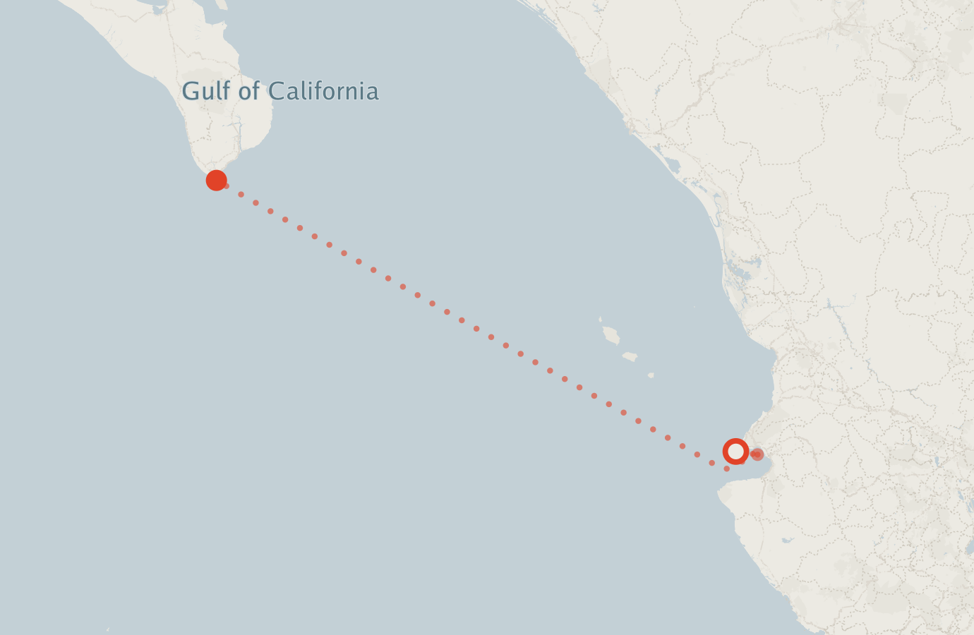 Activity map — real sighting points on an OpenStreetMap basemap