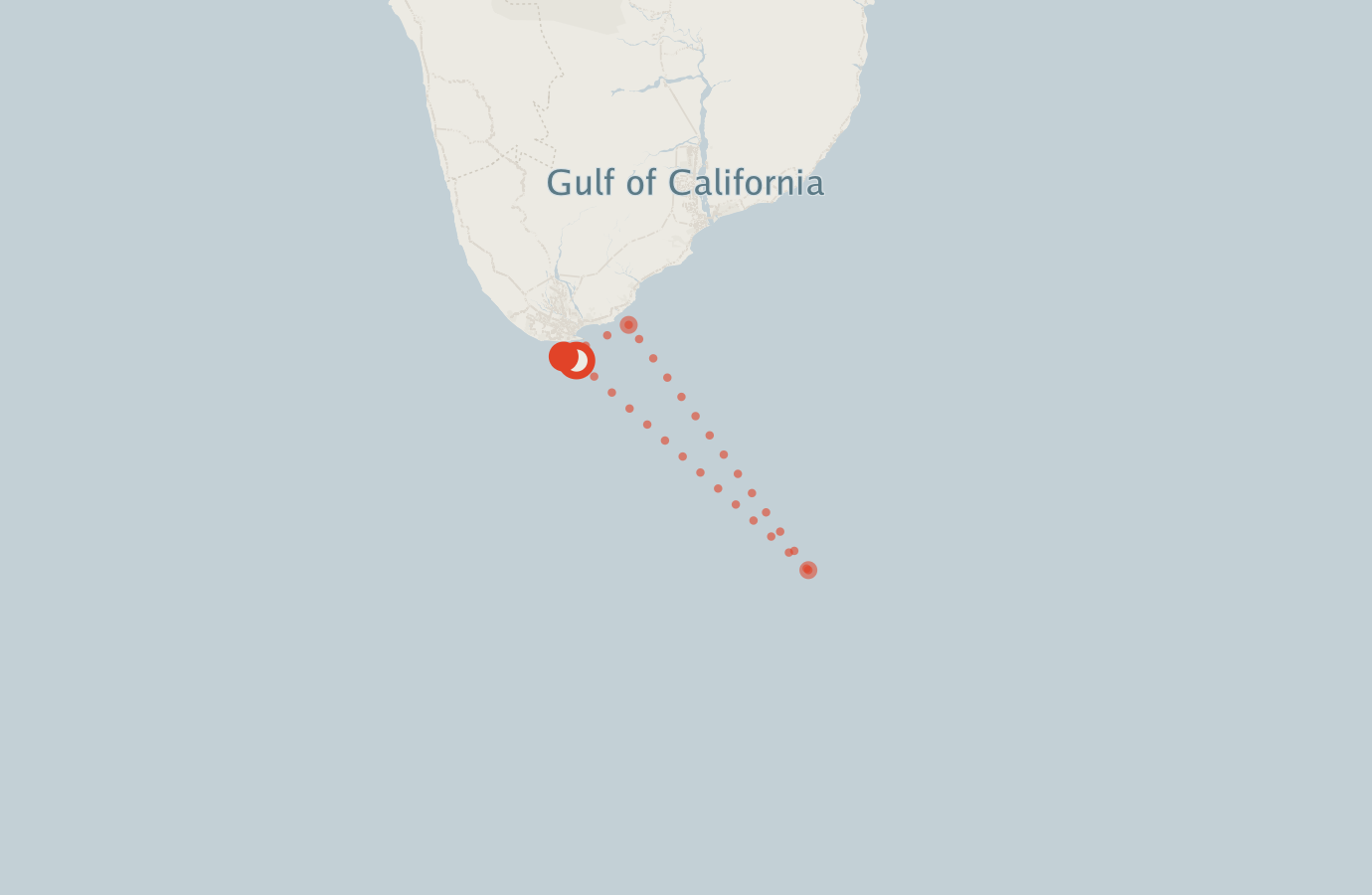 Activity map — real sighting points on an OpenStreetMap basemap