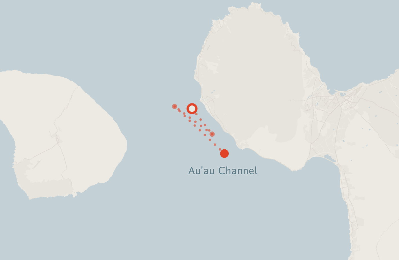 Activity map — real sighting points on an OpenStreetMap basemap