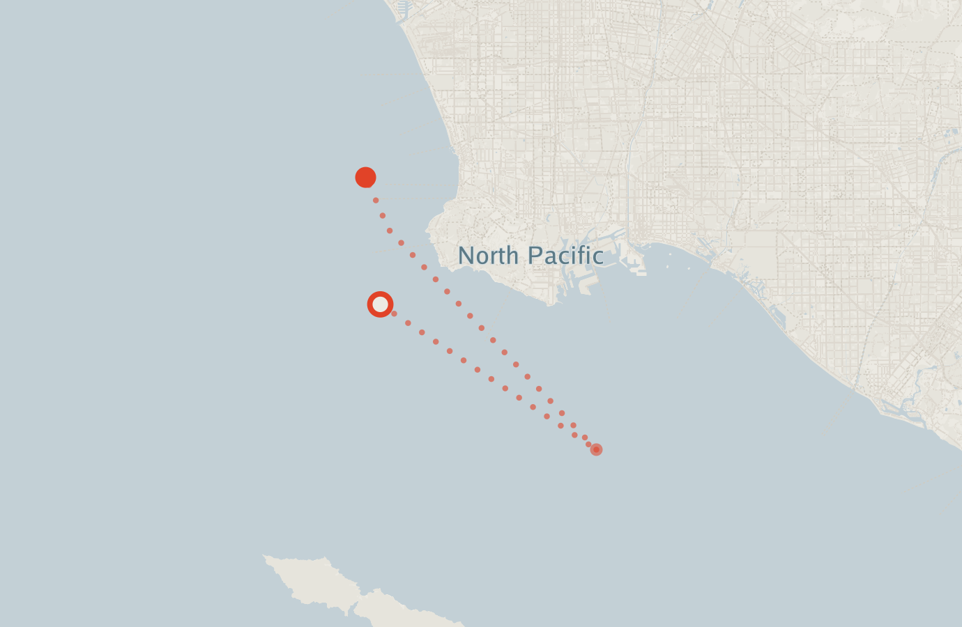 Activity map — real sighting points on an OpenStreetMap basemap