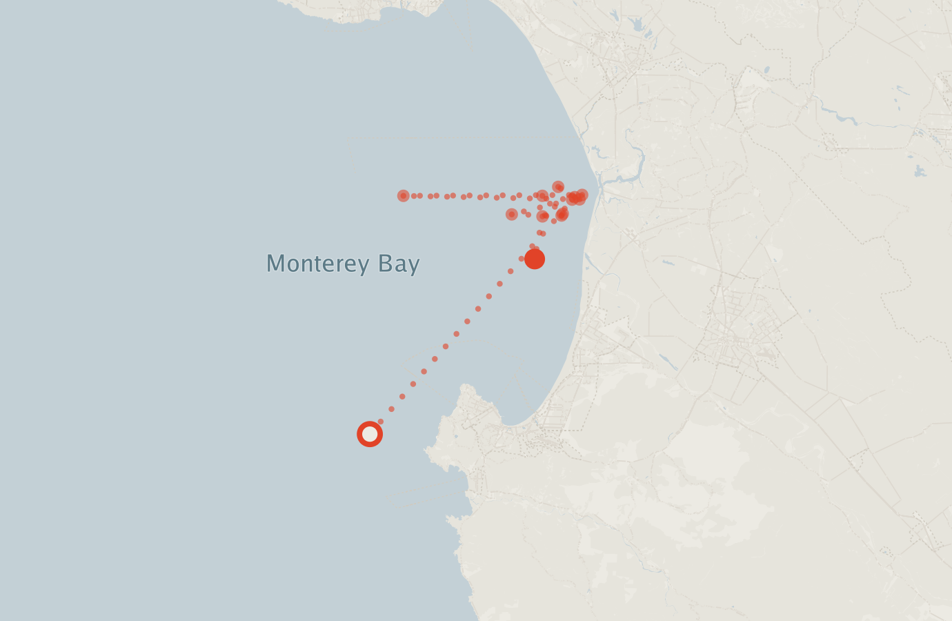 Activity map — real sighting points on an OpenStreetMap basemap