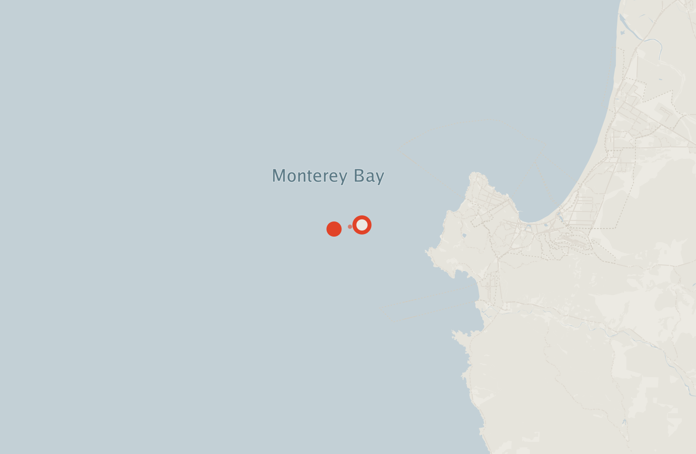 Activity map — real sighting points on an OpenStreetMap basemap