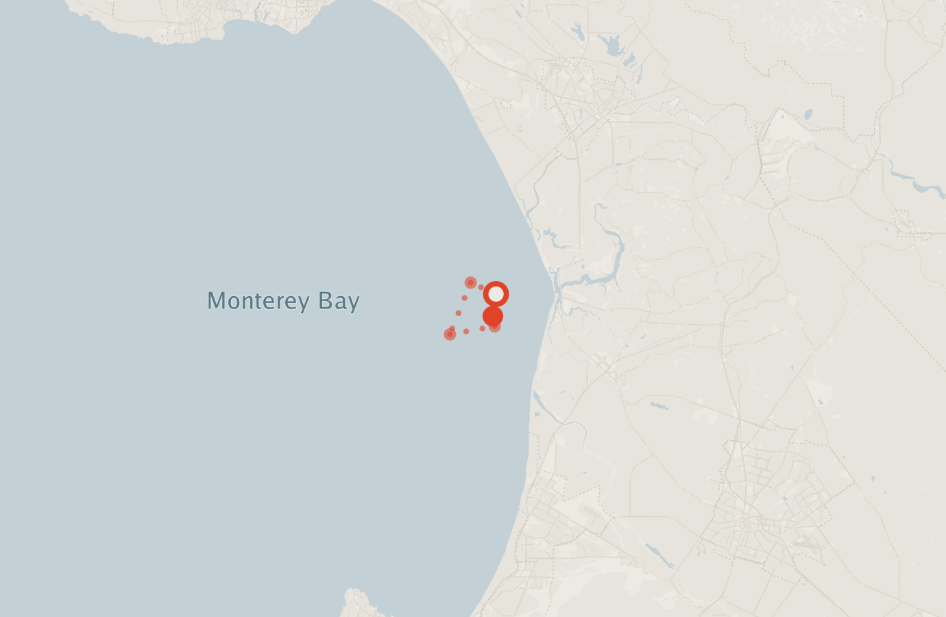 Activity map — real sighting points on an OpenStreetMap basemap