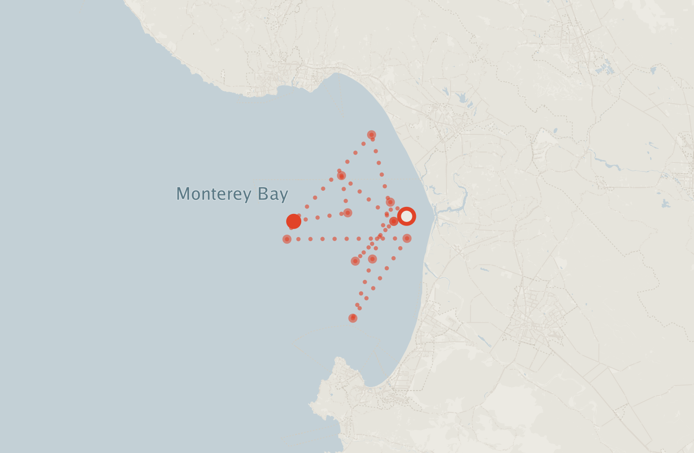 Activity map — real sighting points on an OpenStreetMap basemap