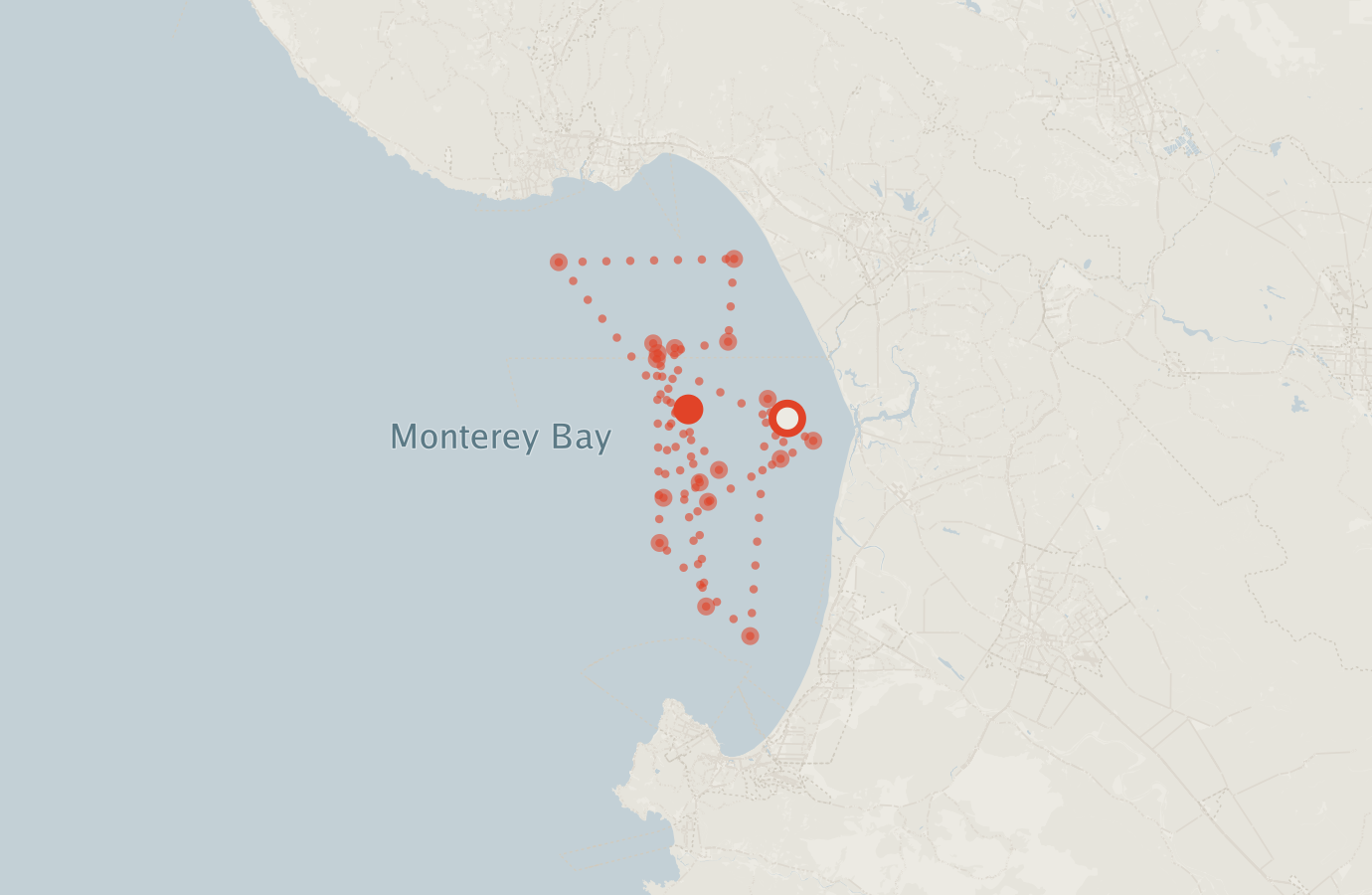 Activity map — real sighting points on an OpenStreetMap basemap