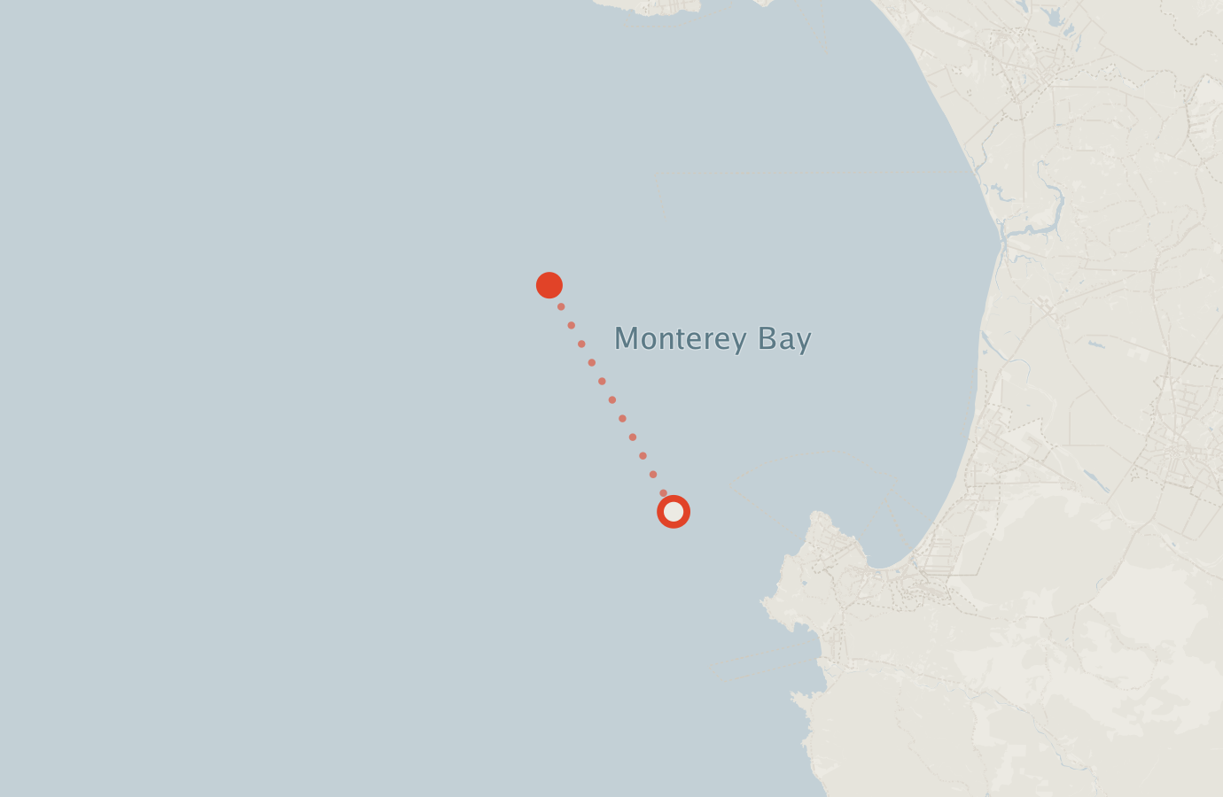 Activity map — real sighting points on an OpenStreetMap basemap