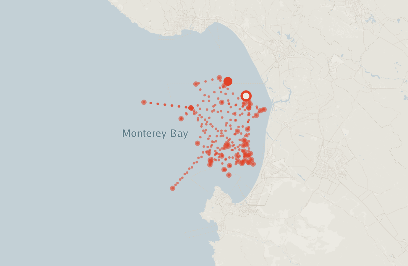 Activity map — real sighting points on an OpenStreetMap basemap