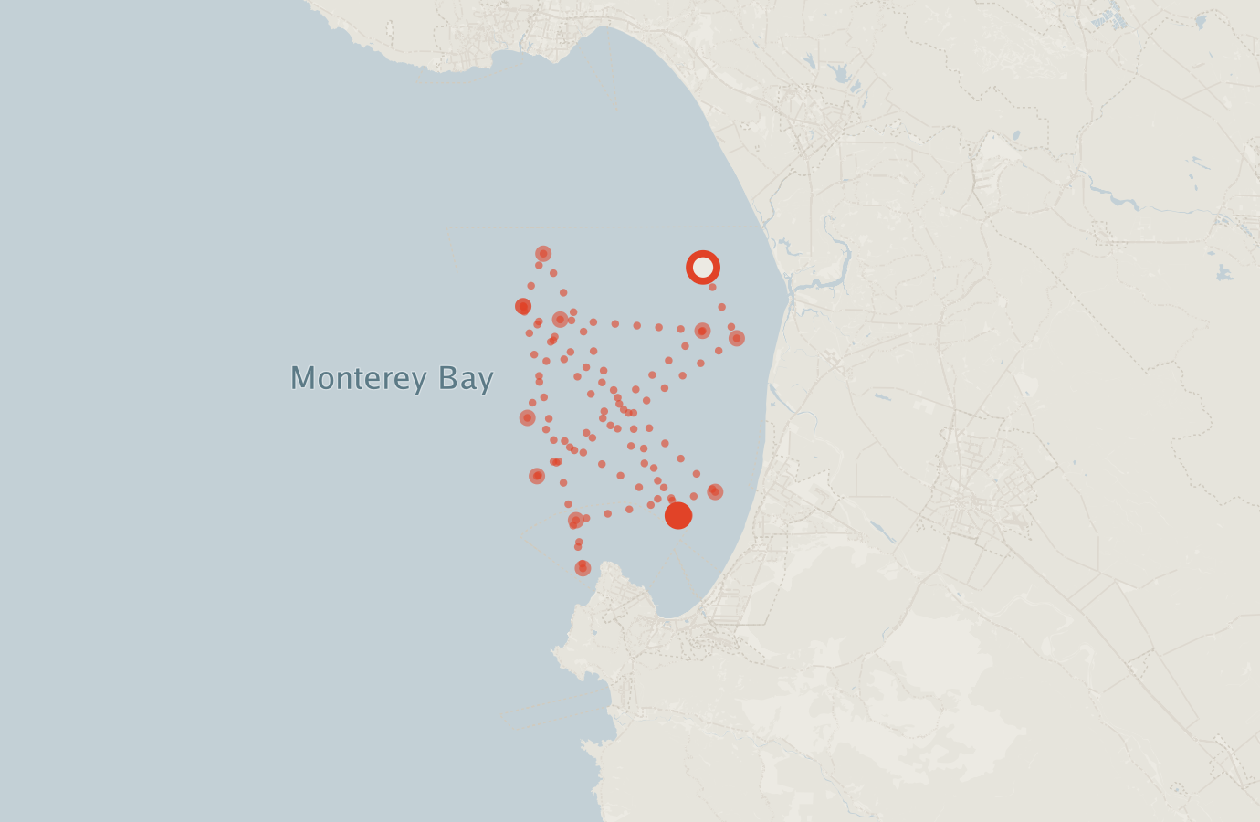Activity map — real sighting points on an OpenStreetMap basemap