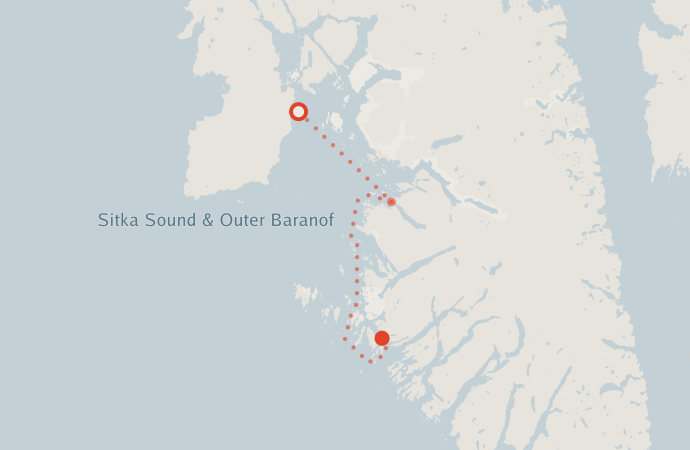Activity map — real sighting points on an OpenStreetMap basemap