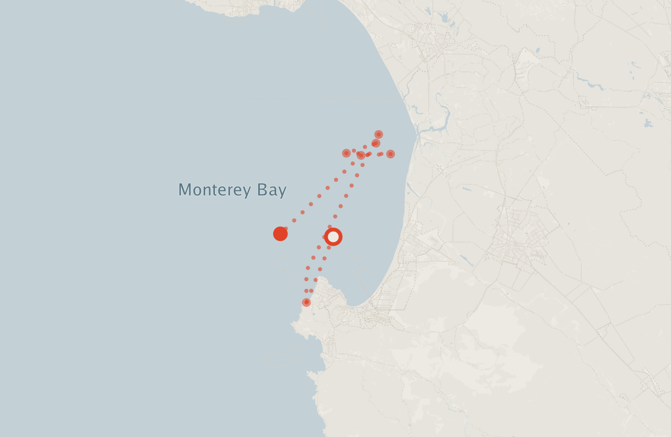 Activity map — real sighting points on an OpenStreetMap basemap