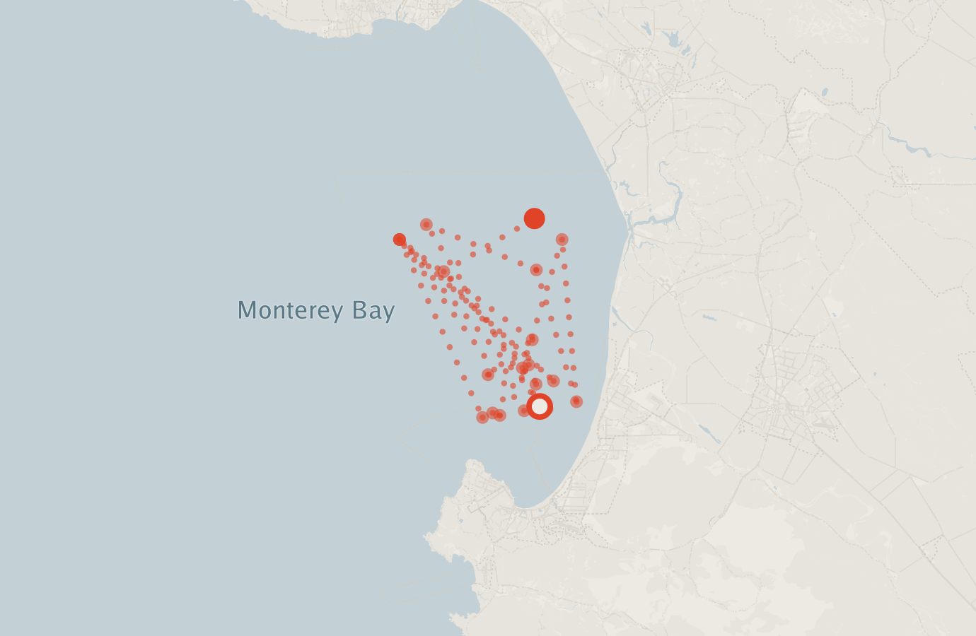 Activity map — real sighting points on an OpenStreetMap basemap