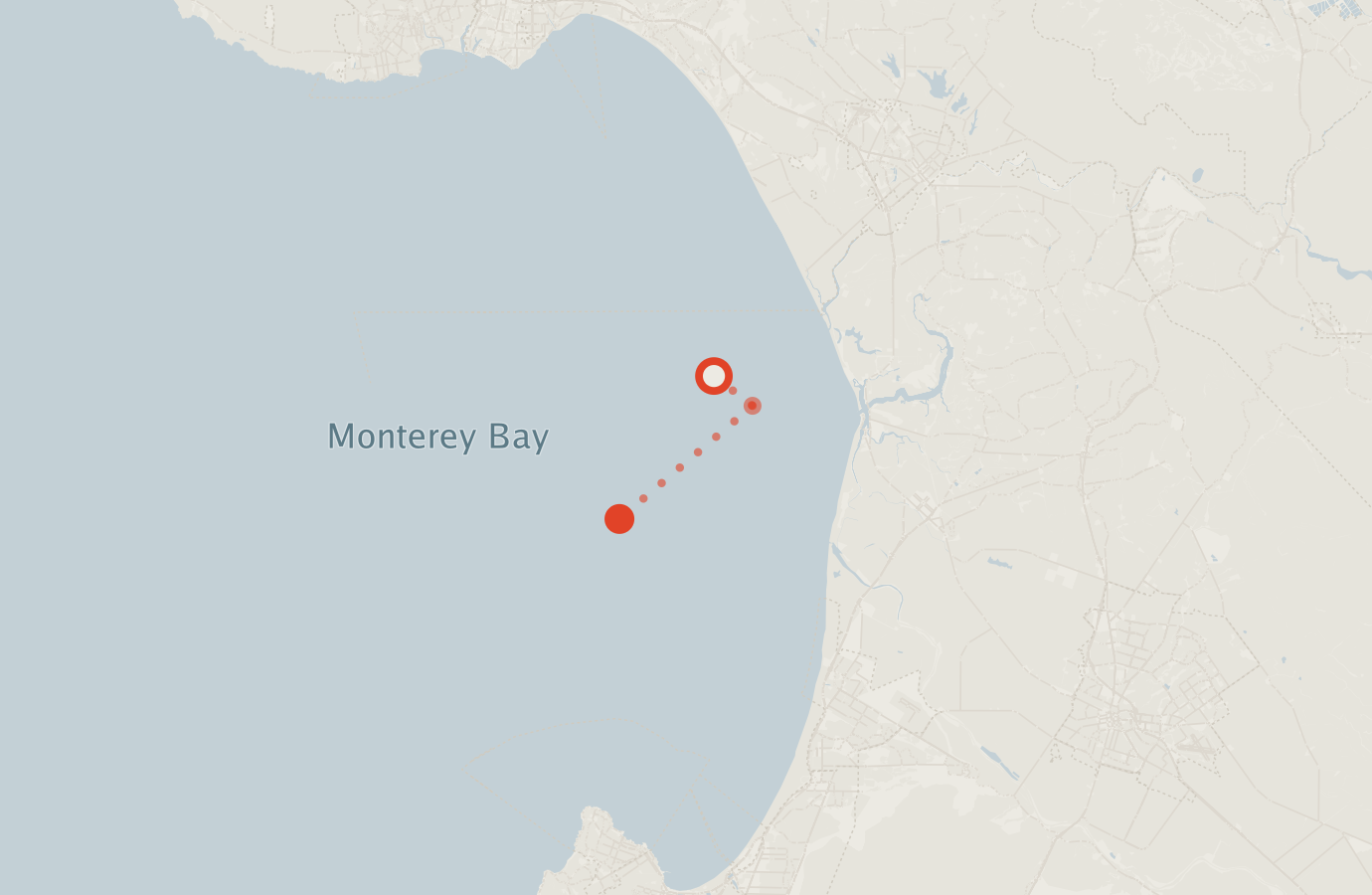 Activity map — real sighting points on an OpenStreetMap basemap