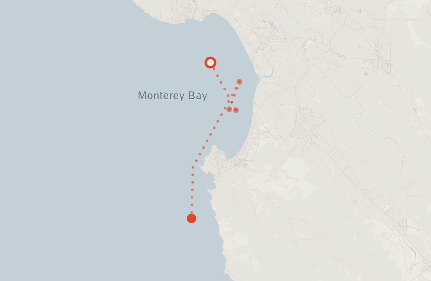 Activity map — real sighting points on an OpenStreetMap basemap