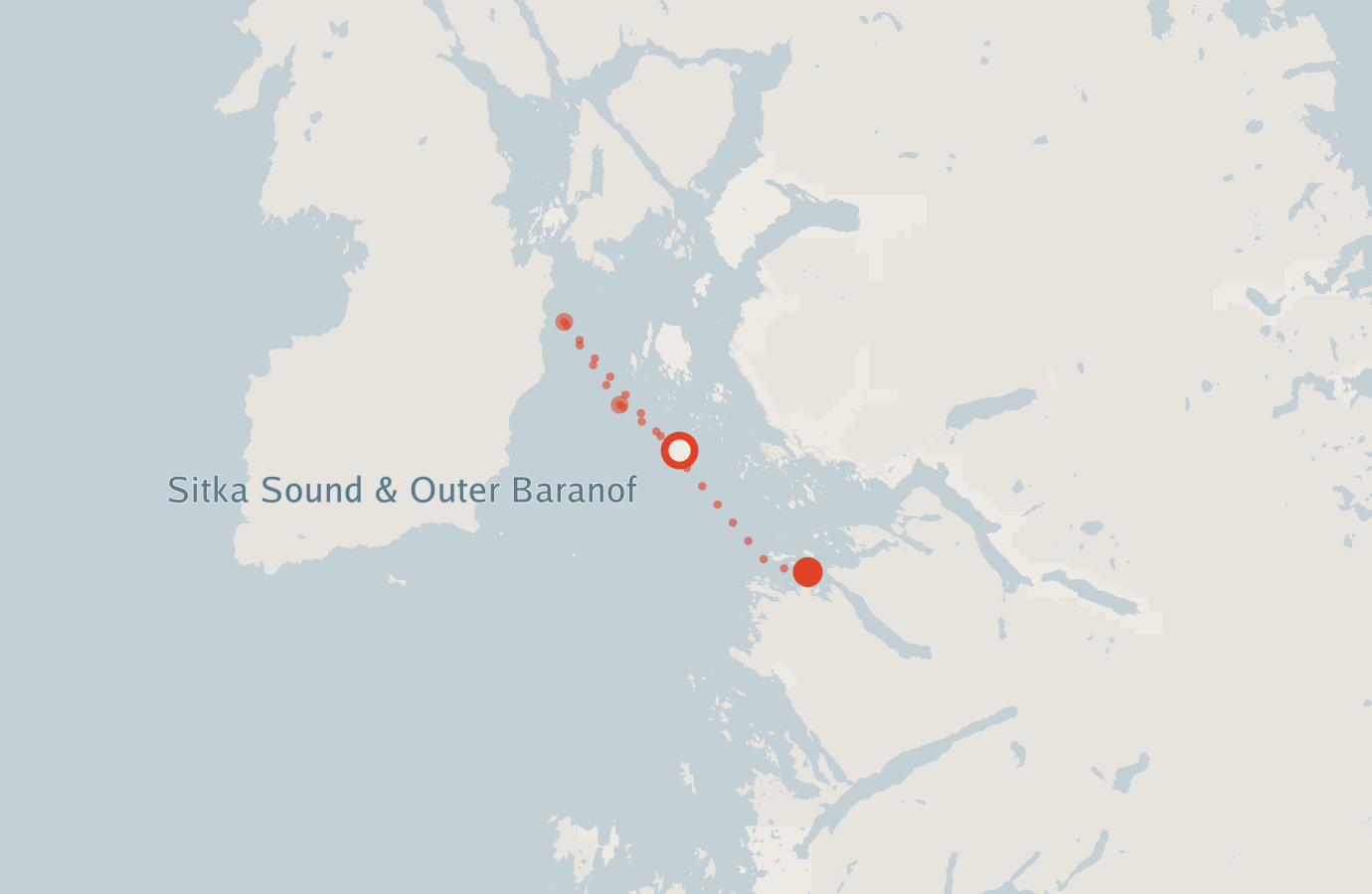 Activity map — real sighting points on an OpenStreetMap basemap
