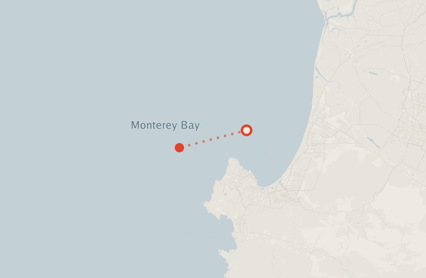 Activity map — real sighting points on an OpenStreetMap basemap