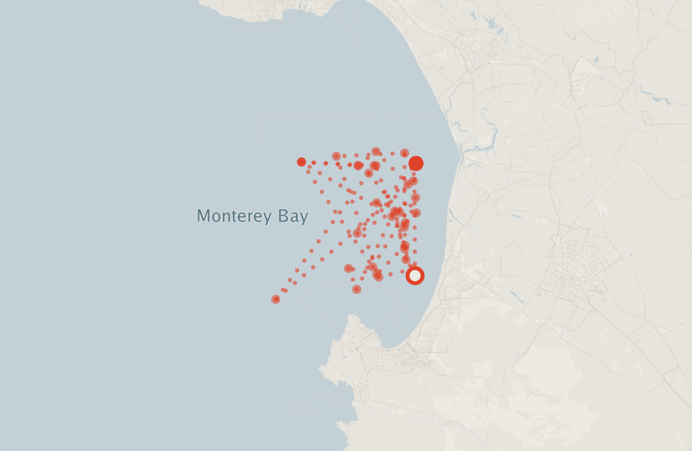 Activity map — real sighting points on an OpenStreetMap basemap