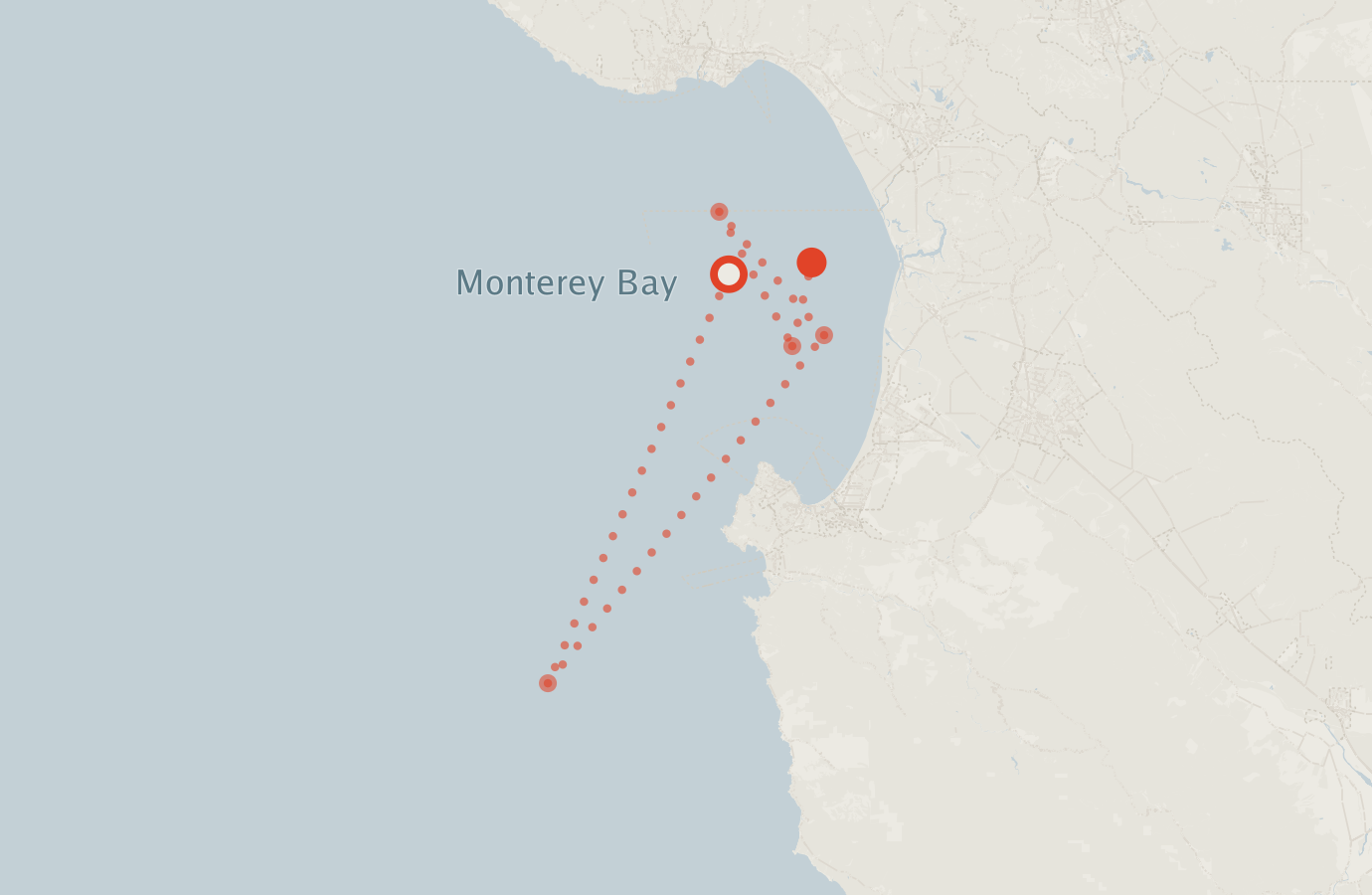 Activity map — real sighting points on an OpenStreetMap basemap