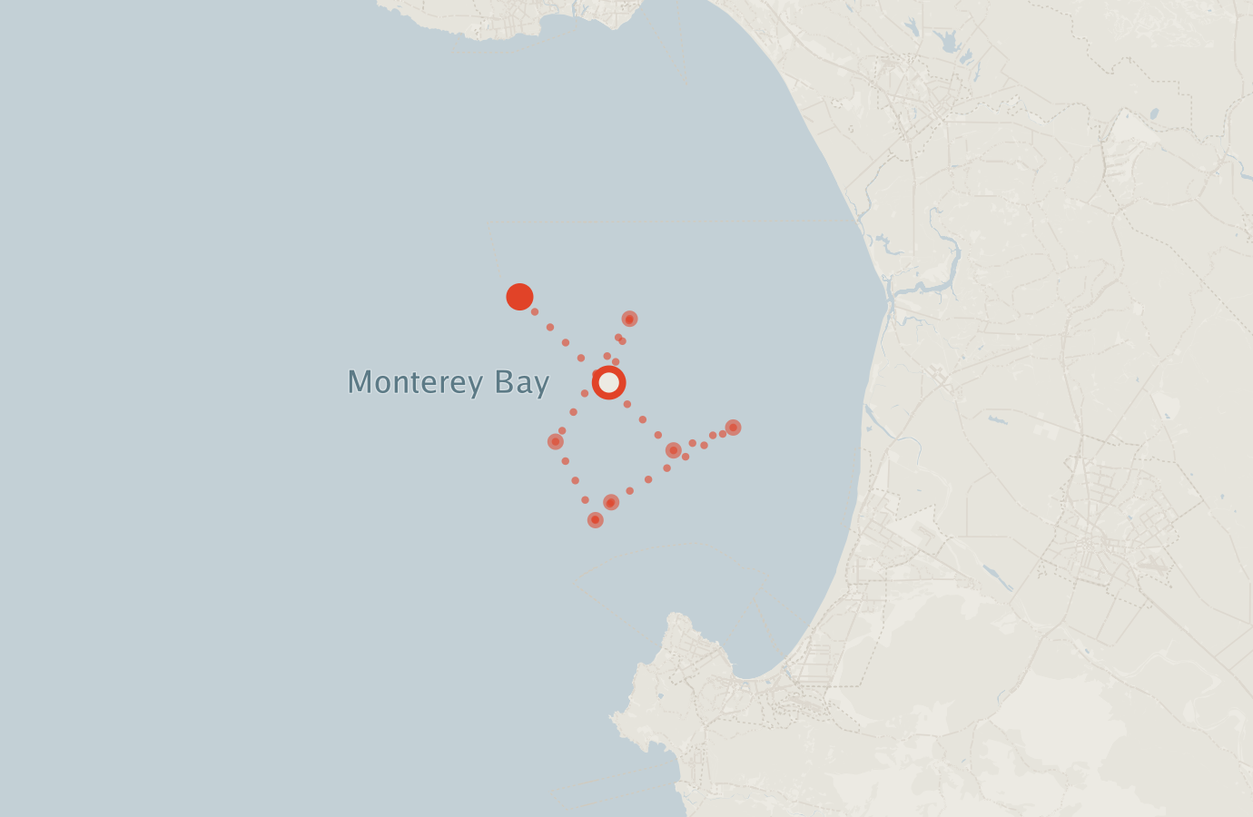 Activity map — real sighting points on an OpenStreetMap basemap