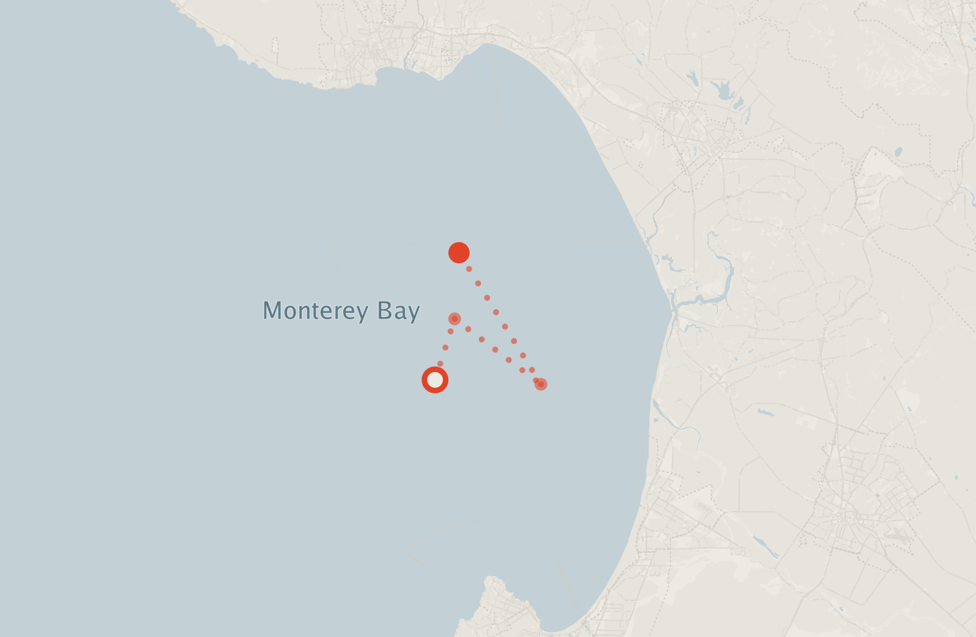 Activity map — real sighting points on an OpenStreetMap basemap