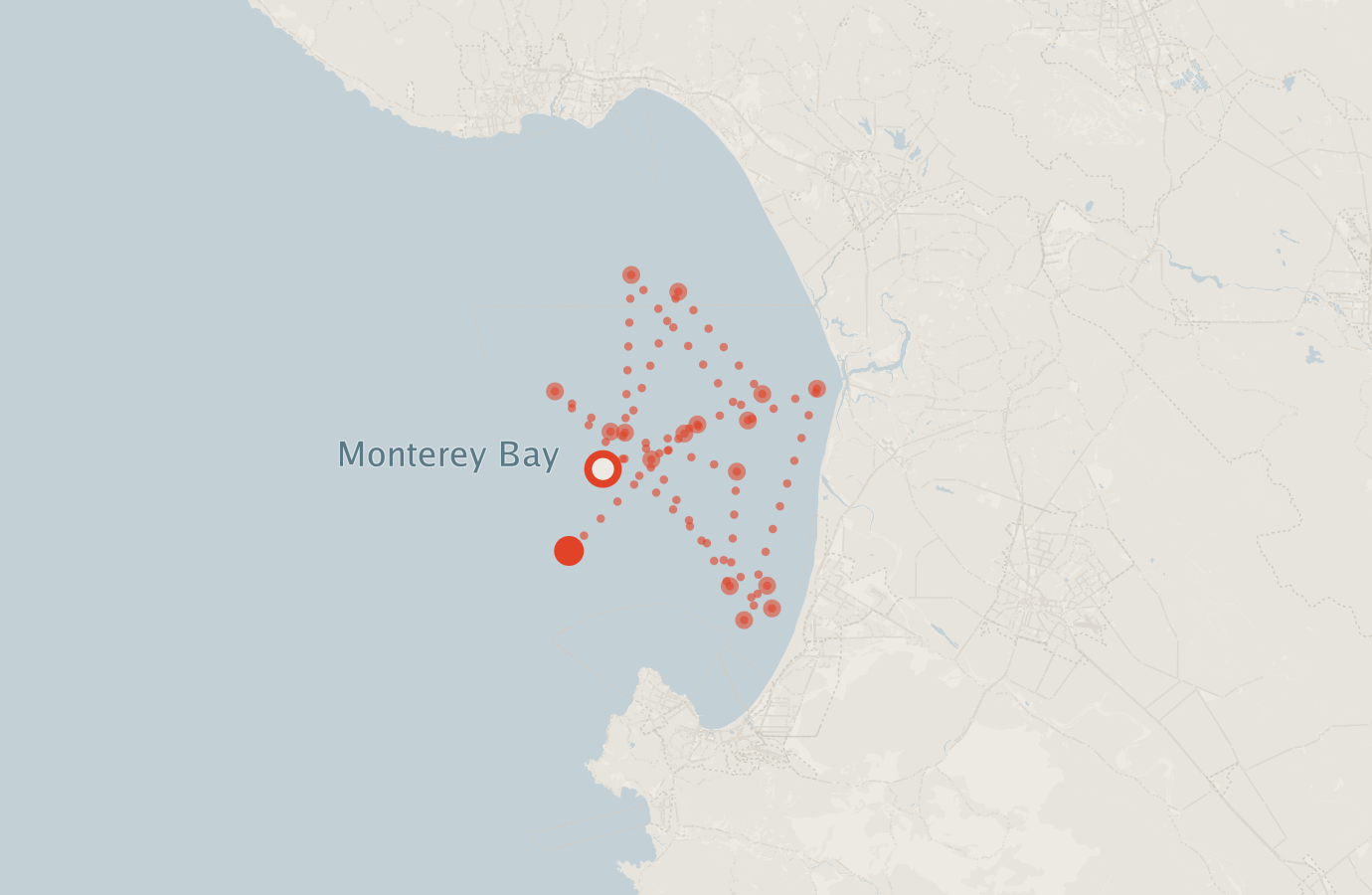 Activity map — real sighting points on an OpenStreetMap basemap