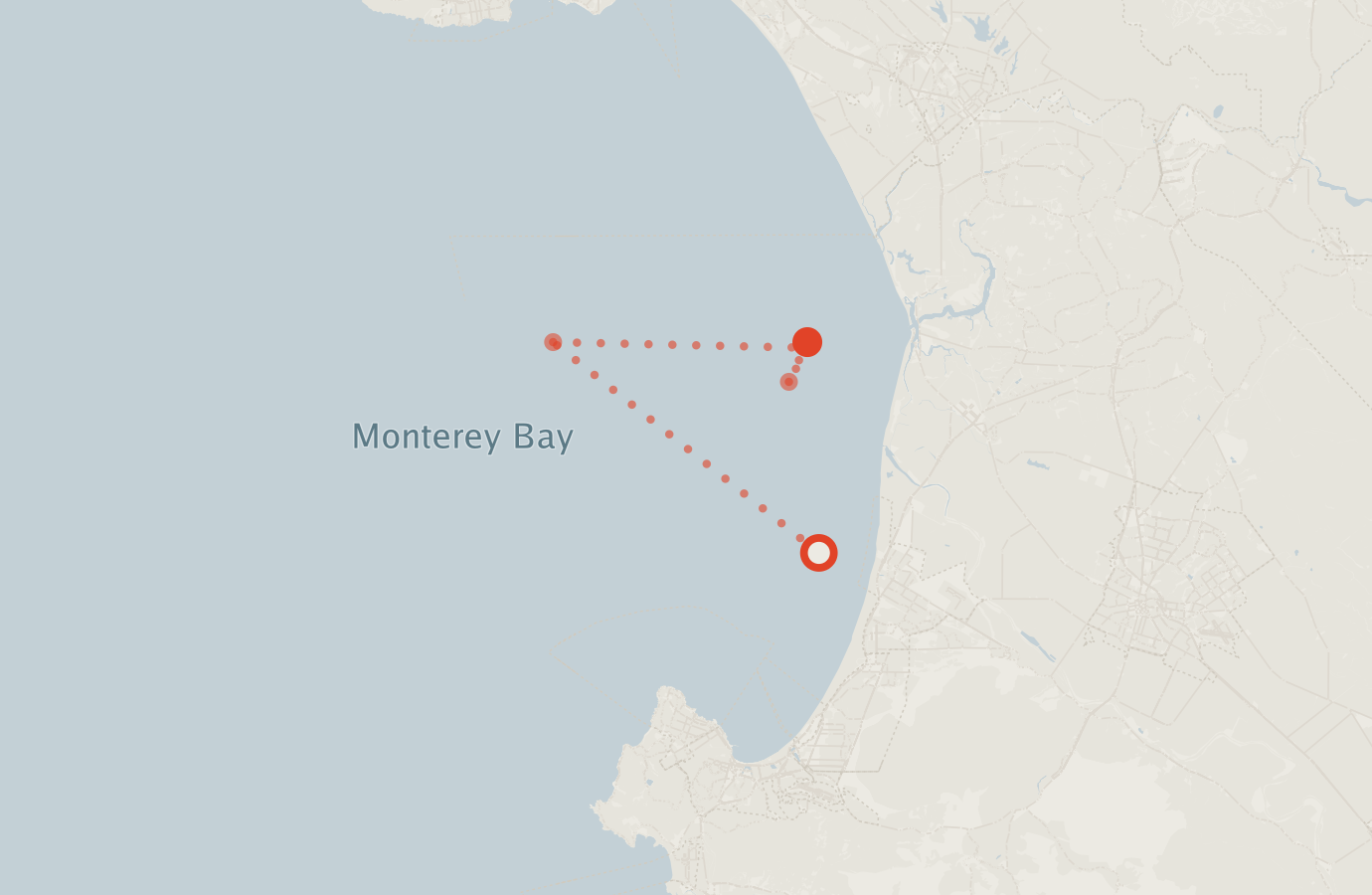 Activity map — real sighting points on an OpenStreetMap basemap